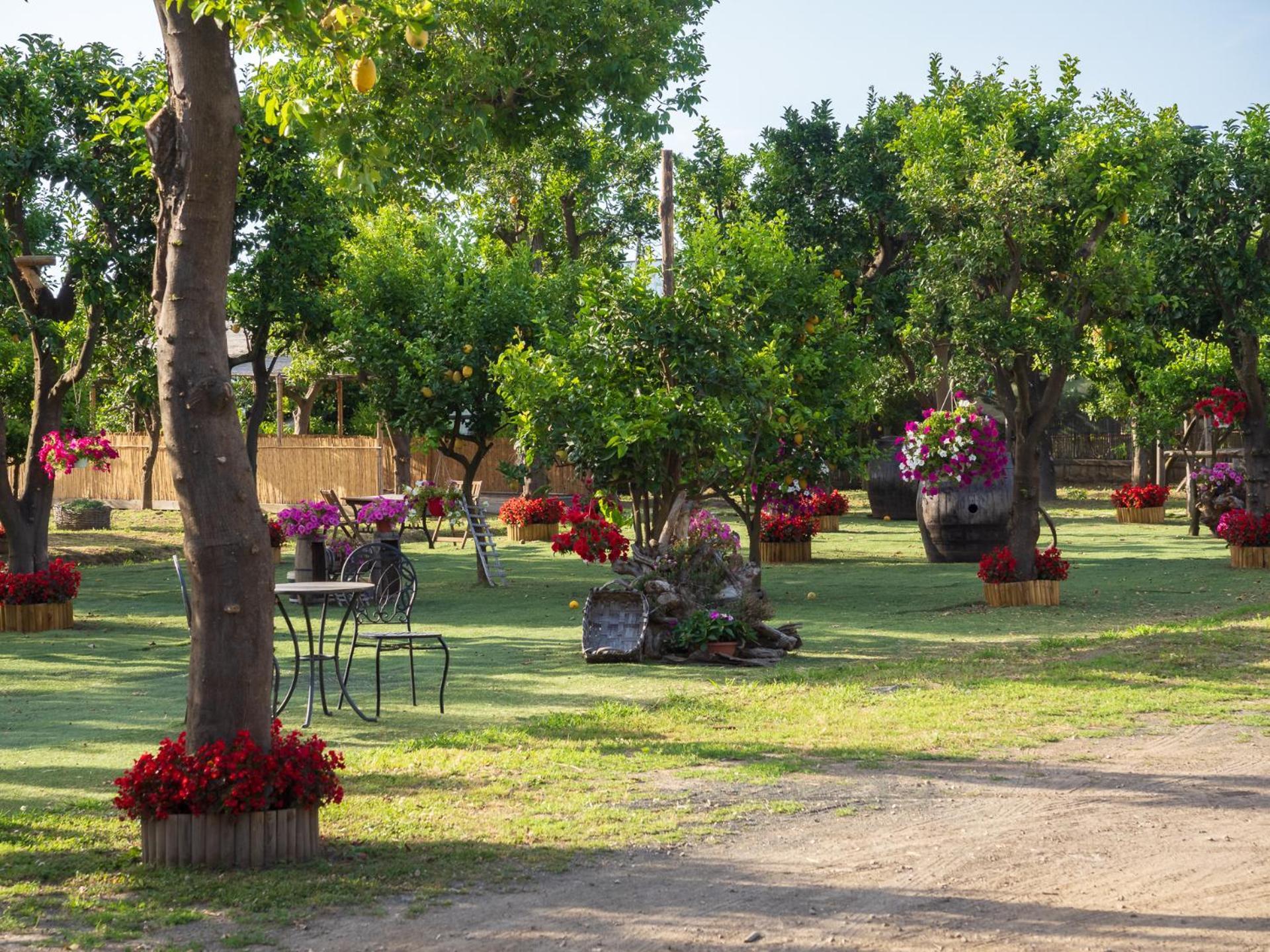 Giardino Di Nonno Lucio - Surrounded By Lemon Tree Villa Piano di Sorrento Exteriör bild