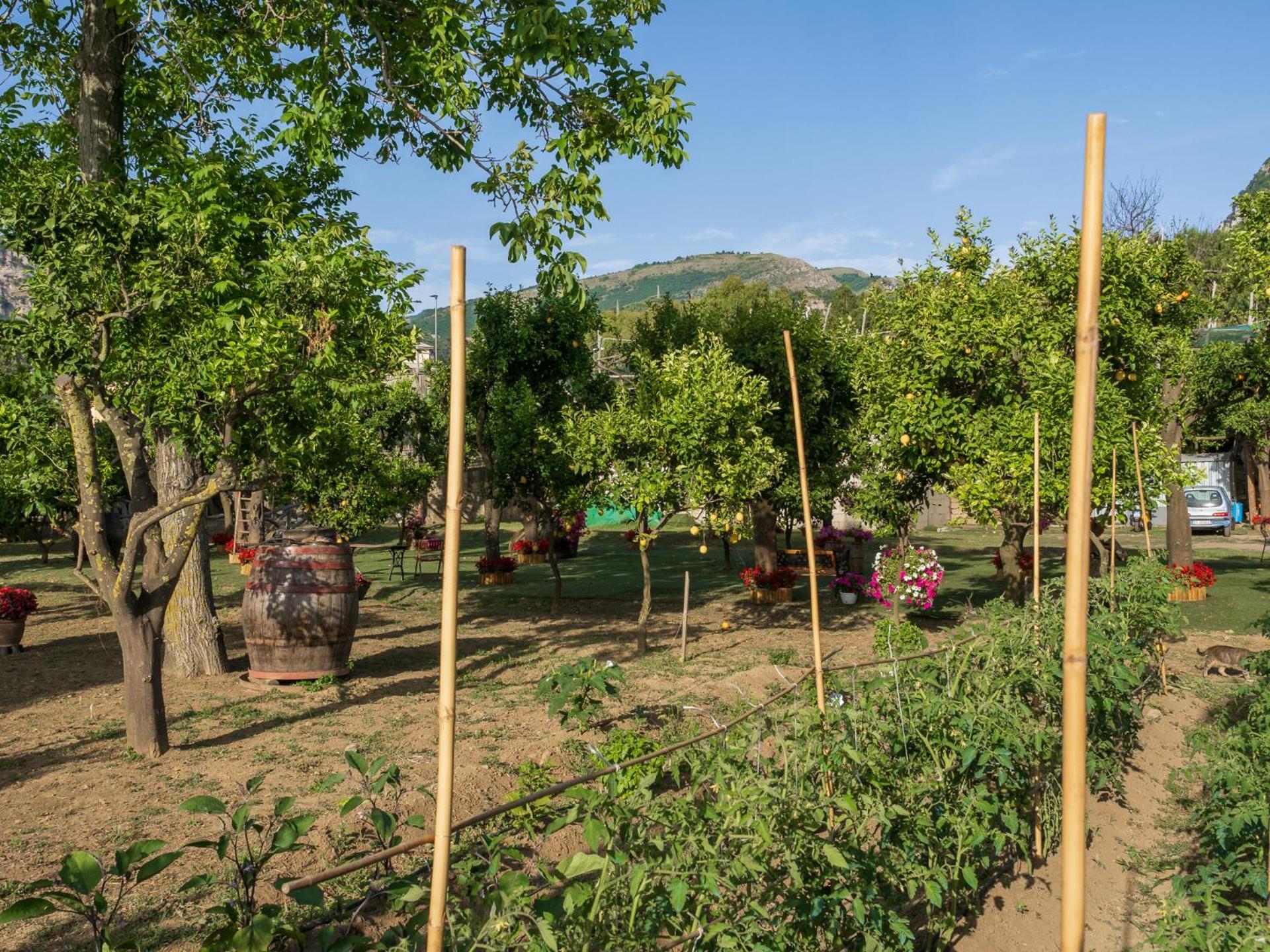 Giardino Di Nonno Lucio - Surrounded By Lemon Tree Villa Piano di Sorrento Exteriör bild