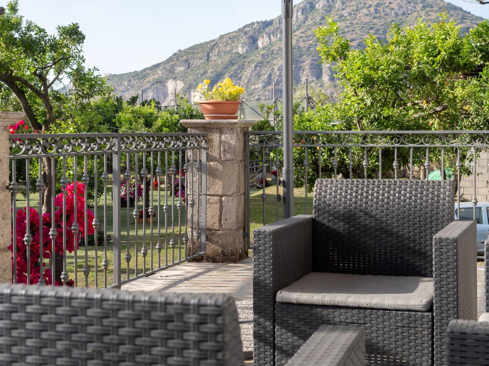 Giardino Di Nonno Lucio - Surrounded By Lemon Tree Villa Piano di Sorrento Exteriör bild